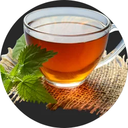Green tea with fresh mint
